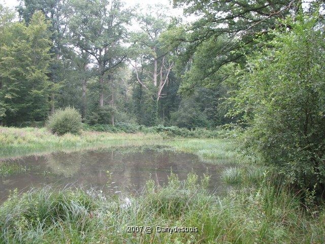 2007 08 Mare aux canes 11